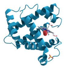 Molecular Biology
