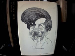 An Urchin in the Storm - Essays about Books and Ideas