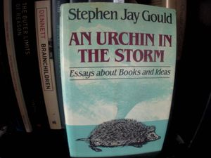 An Urchin in the Storm - Essays about Books and Ideas