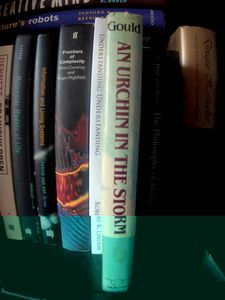 An Urchin in the Storm - Essays about Books and Ideas