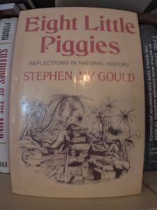 Eight Little Piggies - Reflections in Natural History