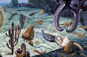 Burgess Shale