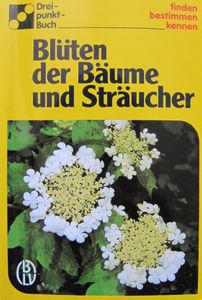 Blüten der Bäume und Sträucher