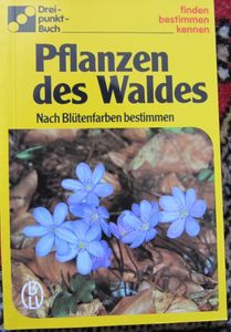 Pflanzen des Waldes: Nach Blütenfarbe bestimmen
