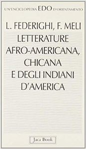 Letterature Afro-americana, Chicana e degli indiani d'America