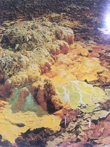 The New Larousse Encyclopedia of the Earth