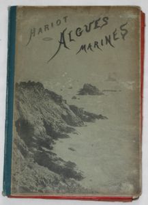 Algues marines