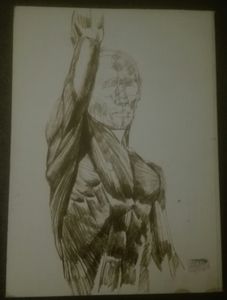 Human Anatomy For The Artist