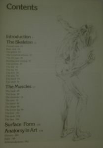 Human Anatomy For The Artist