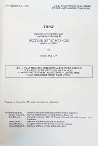 Les Goniasteridae (Asteroidea, Echinodermata) jurassiques et crétacés de France. Taphonomie, systématique, biostratigraphie paléobiogéographie, évolution.