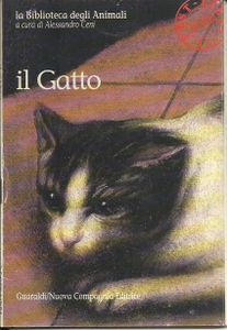 Il Gatto