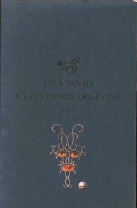 Il lato visibile delle cose