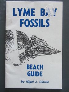 Lyme Bay Fossils: Beach Guide
