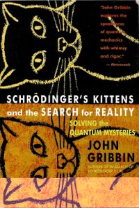 Schrödinger's Kittens And The Search For Reality