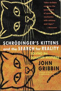 Schrödinger's Kittens And The Search For Reality