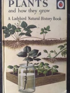 Plants and How They Grow