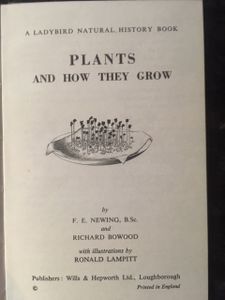 Plants and How They Grow