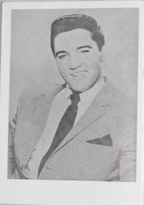 Elvis Presley The picture-book
