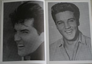 Elvis Presley The picture-book