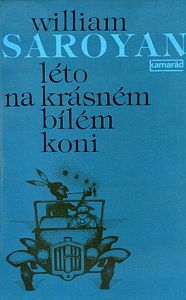 Léto na krásném bílém koni