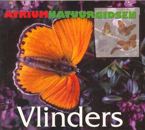 Vlinders