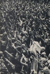 Der Österreichische Film
