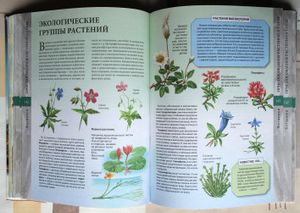 Большая книга знаний
