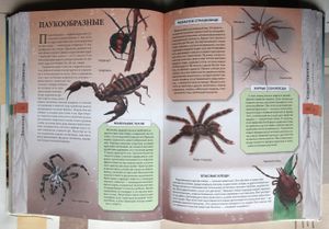 Большая книга знаний