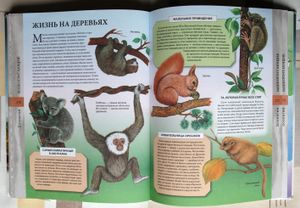 Большая книга знаний