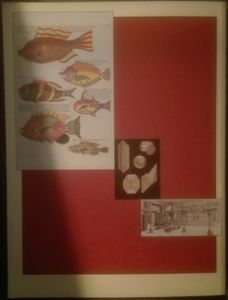 Hooogtepunten Uit Teylers Museum