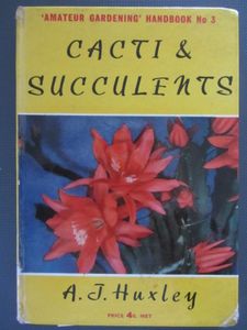 Cacti & Succulents