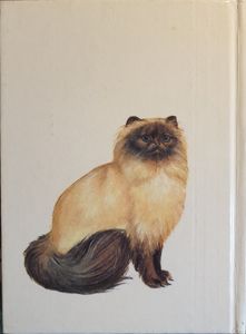 Кошки