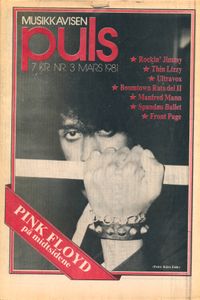 Puls 3/81