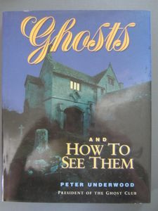 Ghosts and How to see Them