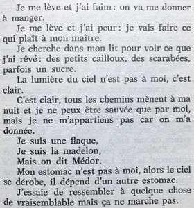 Madelon - Alchimie Et Prêt à Porter