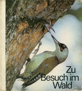 Zu Besuch im Wald