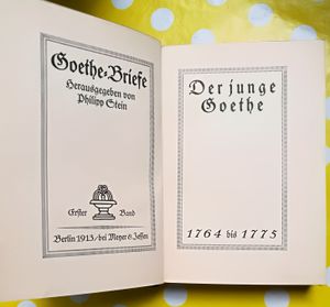 Goethe: Briefe. Erster Band: Der Junge Goethe 1764 Bis 1775
