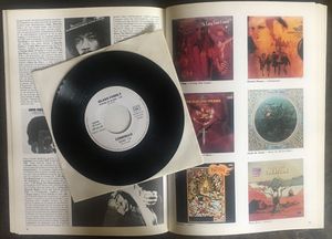 Le Rock Psychédélique Américain 1966-1973, volume 1 (A-L)