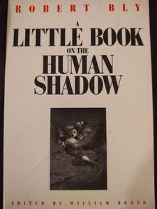 A Little Book on the Human Shadow
