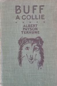 Buff: A Collie