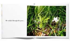 Visionaire 59: Fairytale