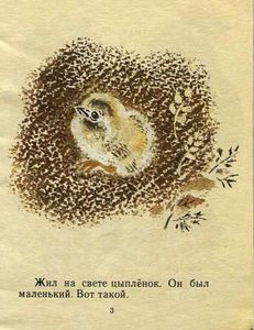 Цыплёнок