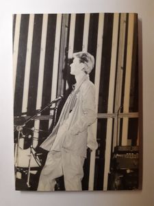 The David Bowie Concert Tapes