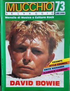 Il Mucchio Selvaggio (Issue # 73)
