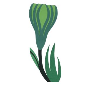 Spring: A Folio Anthology