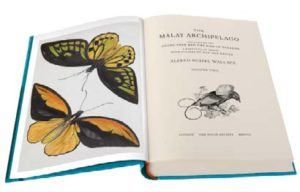 The Malay Archipelago: The Land of the Orang-Utan and the Bird of Paradise