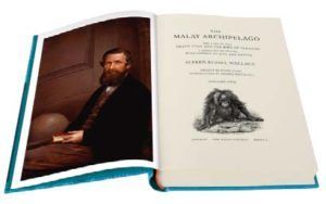 The Malay Archipelago: The Land of the Orang-Utan and the Bird of Paradise