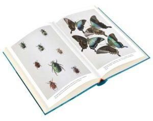 The Malay Archipelago: The Land of the Orang-Utan and the Bird of Paradise