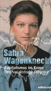 Kapitalismus im Koma. Eine sozialistische Diagnose