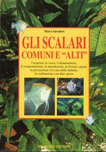 Gli Scalari comuni e "altri"